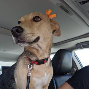 Meet your Posher, Winnie